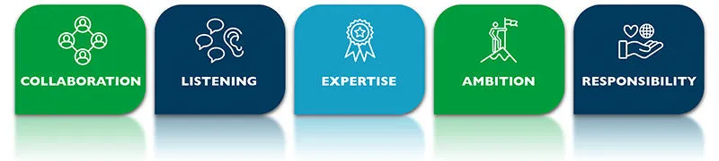 Domino Brand Values - Blog Body 800x400px